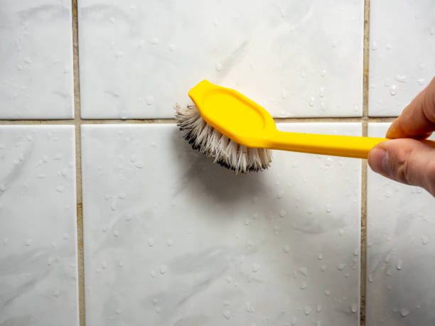 Best Toxic Mold Removal  in North Browning, MT