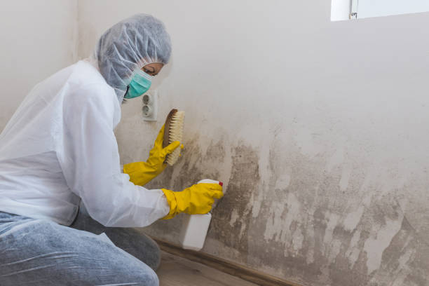 Best Mold Testing  in North Browning, MT
