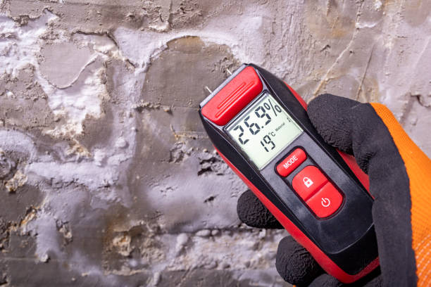 Best Emergency Mold Removal  in North Browning, MT